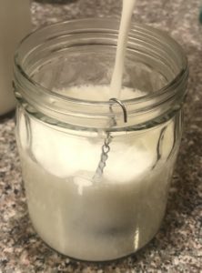 Nutrition and Health Kefir