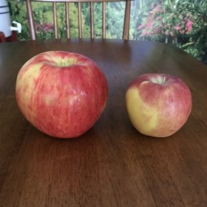 Nutrition and Health Non-GMO Organic Apple